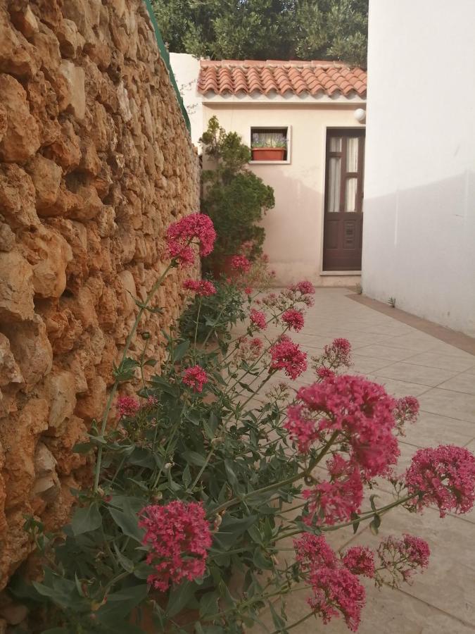 Apartments Borovina Bol Dış mekan fotoğraf