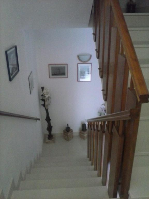 Apartments Borovina Bol Dış mekan fotoğraf